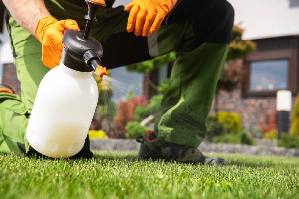 Best Ant Control Services  in Slippery Rock, PA