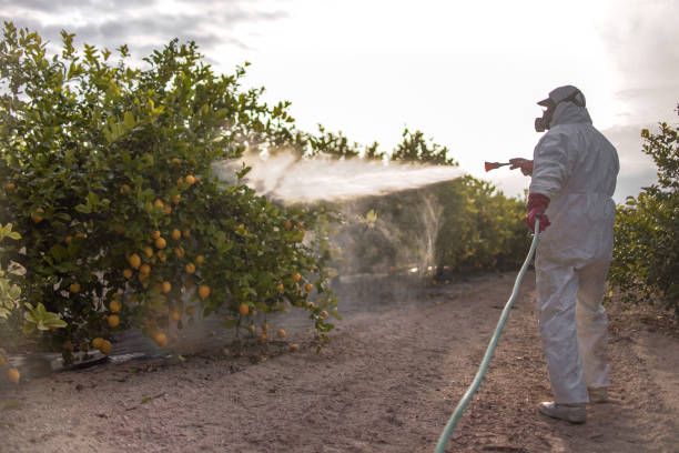 Best Best Pest Control Companies  in Slippery Rock, PA