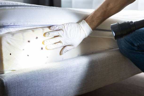 Reliable Slippery Rock, PA Pest Control Solutions