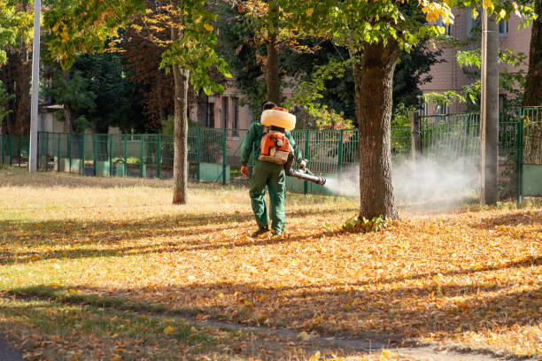 Best Flea Control Services  in Slippery Rock, PA